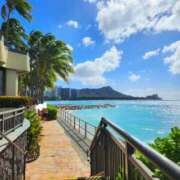 ヒメ日記 2026/02/07 23:04 投稿 えれな 美女物語