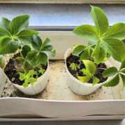 ヒメ日記 2026/03/13 20:54 投稿 えれな 美女物語