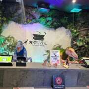 ヒメ日記 2025/09/22 22:18 投稿 中森 はるか 30代40代50代と遊ぶなら博多人妻専科24時