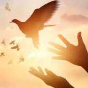 ヒメ日記 2025/05/29 08:12 投稿 藤山多美 五十路マダム愛されたい熟女たち 福山店(カサブランカグループ)