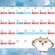 ヒメ日記 2025/08/31 19:31 投稿 ミスズ ラブコレクション