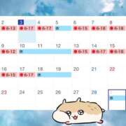 ヒメ日記 2026/02/03 19:01 投稿 ミスズ ラブコレクション