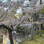 ヒメ日記 2026/03/29 18:01 投稿 ミスズ ラブコレクション