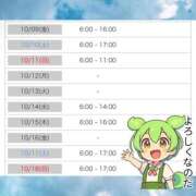 ヒメ日記 2026/10/08 20:01 投稿 ミスズ ラブコレクション