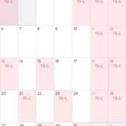 ヒメ日記 2024/12/21 09:51 投稿 Shiro CELEB（セレブ）