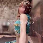 ヒメ日記 2024/12/23 15:55 投稿 Shiro CELEB（セレブ）