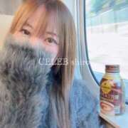 ヒメ日記 2025/11/14 15:59 投稿 Shiro CELEB（セレブ）