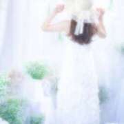 Shiro チャッピーと私とかすみそう? CELEB（セレブ）