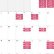 Shiro ５月の予定が決まりました??? CELEB（セレブ）