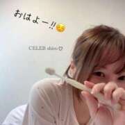 ヒメ日記 2026/07/30 06:04 投稿 Shiro CELEB（セレブ）