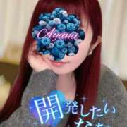 ヒメ日記 2025/04/05 09:52 投稿 あゆみ 即イキ淫乱倶楽部 船橋店