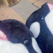 ヒメ日記 2025/02/06 13:10 投稿 えれな わちゃわちゃ密着リアルフルーちゅ西船橋