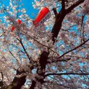 ヒメ日記 2025/03/18 16:20 投稿 えれな わちゃわちゃ密着リアルフルーちゅ西船橋