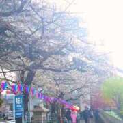 ヒメ日記 2026/04/06 10:01 投稿 神田みゆき 川崎南町 素敵な奥様（川崎ハレ系）