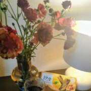 ヒメ日記 2026/04/09 10:00 投稿 神田みゆき 川崎南町 素敵な奥様（川崎ハレ系）