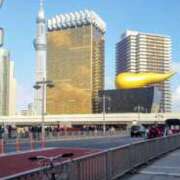 ヒメ日記 2026/05/11 10:00 投稿 神田みゆき 川崎南町 素敵な奥様（川崎ハレ系）