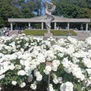 ヒメ日記 2026/05/18 10:00 投稿 神田みゆき 川崎南町 素敵な奥様（川崎ハレ系）