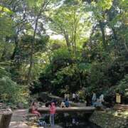 神田みゆき 等々力渓谷🌲 川崎南町 素敵な奥様（川崎ハレ系）