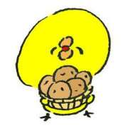 ヒメ日記 2024/12/27 13:15 投稿 アイミ バニーコレクション新潟店