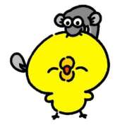 ヒメ日記 2025/05/19 21:34 投稿 アイミ バニーコレクション新潟店