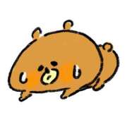 ヒメ日記 2025/11/17 19:10 投稿 アイミ バニーコレクション新潟店