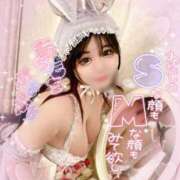 ヒメ日記 2026/02/09 20:10 投稿 アイミ バニーコレクション新潟店