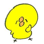 ヒメ日記 2026/02/27 11:19 投稿 アイミ バニーコレクション新潟店