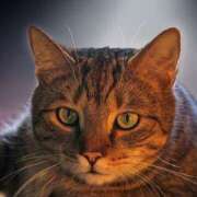 ヒメ日記 2025/01/24 20:53 投稿 ゆみ 完熟ばなな西川口