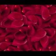 ヒメ日記 2025/02/14 21:33 投稿 ゆみ 完熟ばなな西川口