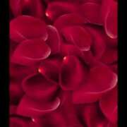 ヒメ日記 2025/02/26 20:04 投稿 ゆみ 完熟ばなな西川口