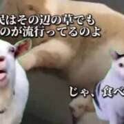 ヒメ日記 2025/02/26 20:23 投稿 ゆみ 完熟ばなな西川口