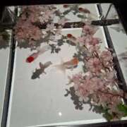 ヒメ日記 2025/04/11 20:04 投稿 ゆみ 完熟ばなな西川口