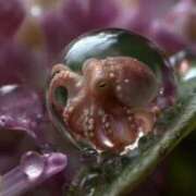 ヒメ日記 2025/07/07 20:33 投稿 ゆみ 完熟ばなな西川口