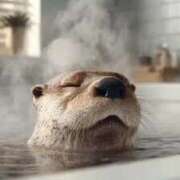 ヒメ日記 2025/07/21 19:03 投稿 ゆみ 完熟ばなな西川口