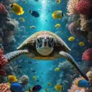 ヒメ日記 2025/09/03 20:23 投稿 ゆみ 完熟ばなな西川口