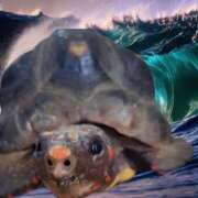 ヒメ日記 2025/09/22 11:43 投稿 ゆみ 完熟ばなな西川口