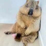 ヒメ日記 2025/09/24 12:13 投稿 ゆみ 完熟ばなな西川口