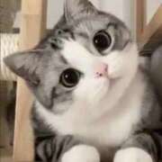 ヒメ日記 2025/10/05 11:03 投稿 ゆみ 完熟ばなな西川口