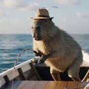 ヒメ日記 2025/11/08 14:03 投稿 ゆみ 完熟ばなな西川口