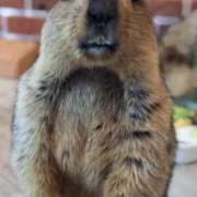 ヒメ日記 2025/11/10 20:43 投稿 ゆみ 完熟ばなな西川口