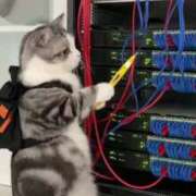 ヒメ日記 2025/12/16 17:33 投稿 ゆみ 完熟ばなな西川口