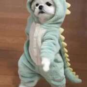 ヒメ日記 2026/01/06 20:03 投稿 ゆみ 完熟ばなな西川口