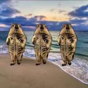 ヒメ日記 2026/02/02 07:43 投稿 ゆみ 完熟ばなな西川口