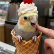 ヒメ日記 2026/02/02 11:53 投稿 ゆみ 完熟ばなな西川口