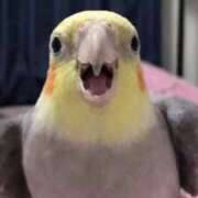 ヒメ日記 2026/02/04 07:53 投稿 ゆみ 完熟ばなな西川口