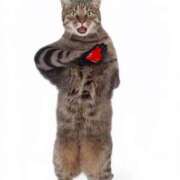 ヒメ日記 2026/02/15 19:43 投稿 ゆみ 完熟ばなな西川口