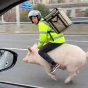 ヒメ日記 2026/02/20 08:53 投稿 ゆみ 完熟ばなな西川口