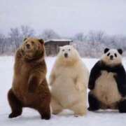 ヒメ日記 2026/02/21 08:23 投稿 ゆみ 完熟ばなな西川口