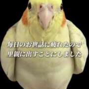 ヒメ日記 2026/07/05 21:43 投稿 ゆみ 完熟ばなな西川口