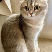 ヒメ日記 2025/05/04 16:38 投稿 中島千鶴子(ちづこ) 東京不倫～とうきょうふりん～